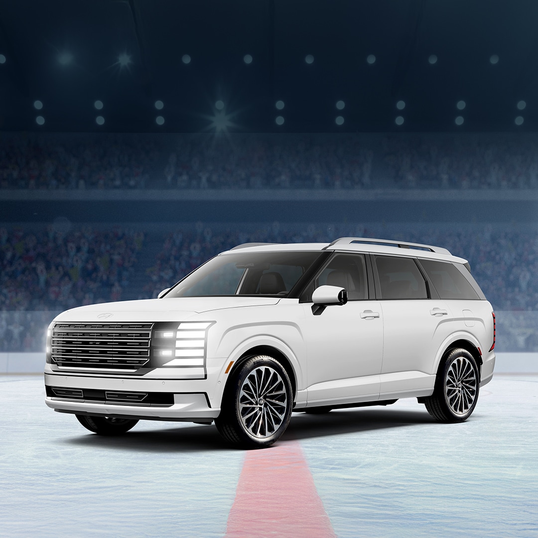 NHL Palisade