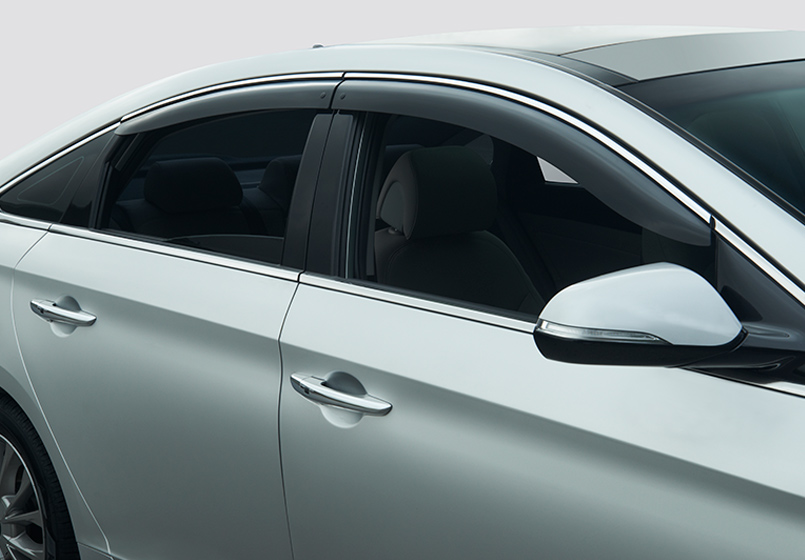 Side Visors