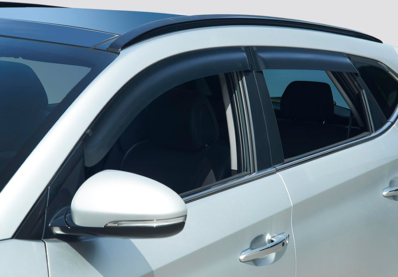 Side Visors