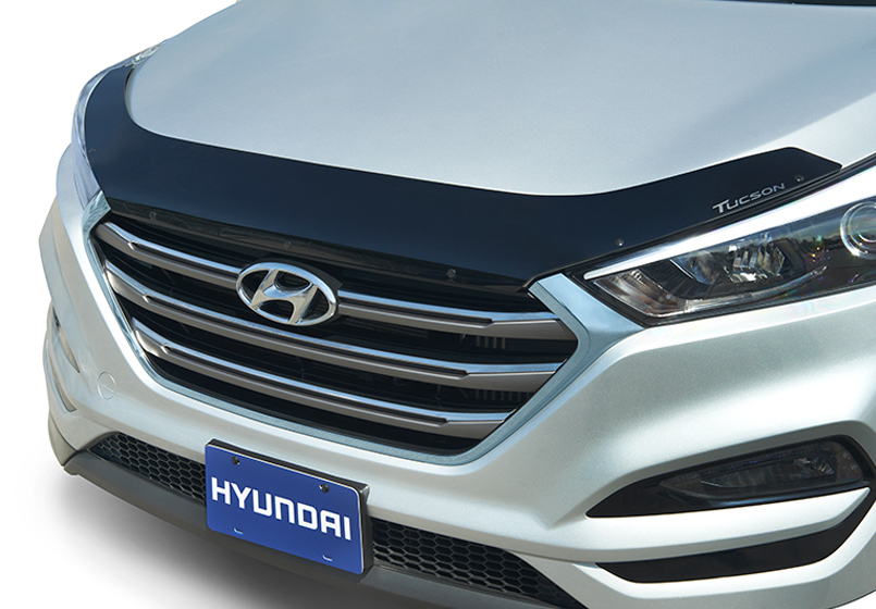 Plastic Hood Protector