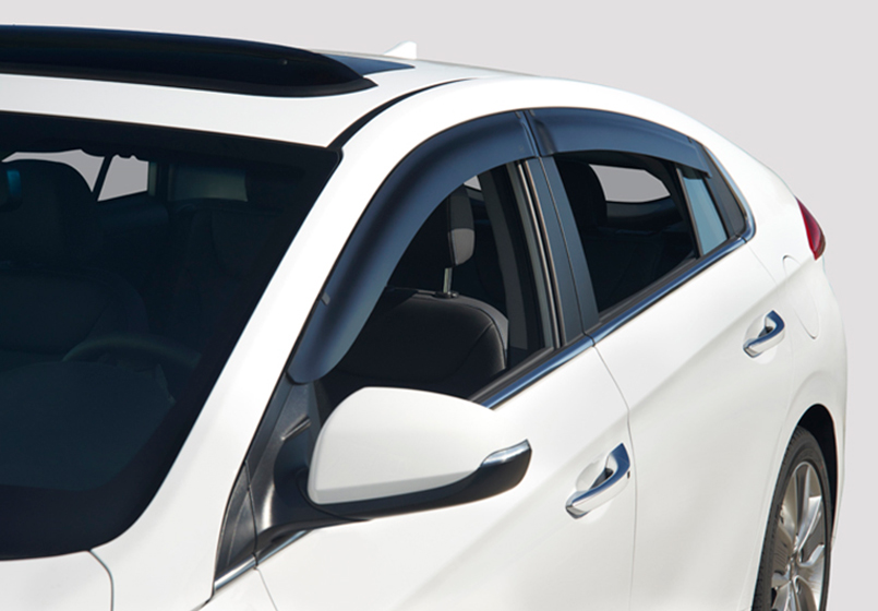Side Visors