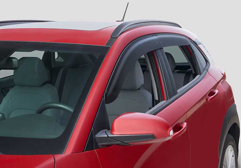 Side Visors