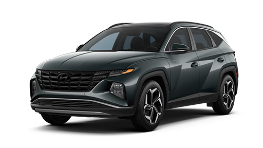 Hyundai SUV Family Hyundai SUVs Crossovers Hyundai Canada