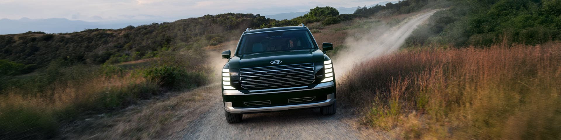 Front exterior view of Hyundai PALISADE