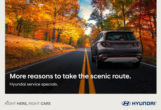 More reasons to take the scenic route. Hyundai service specials.