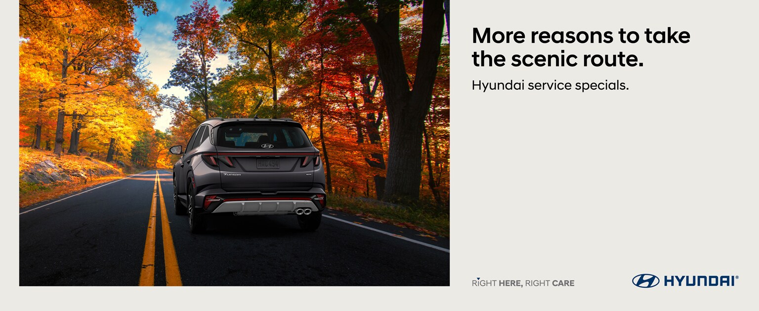 More reasons to take the scenic route. Hyundai service specials.