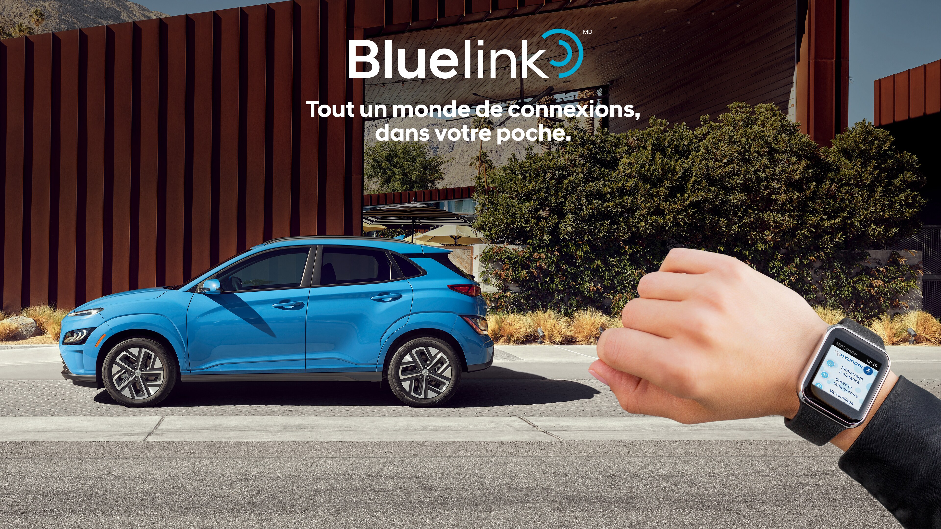 Bluelink, Tout un monde de connexion, dans votre poche.