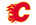 Calgary Flames