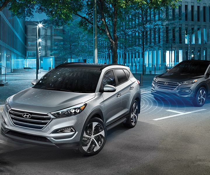 Rear Parking Assist Sensors
