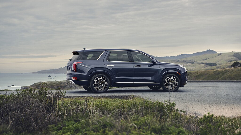 Kia palisade 2022