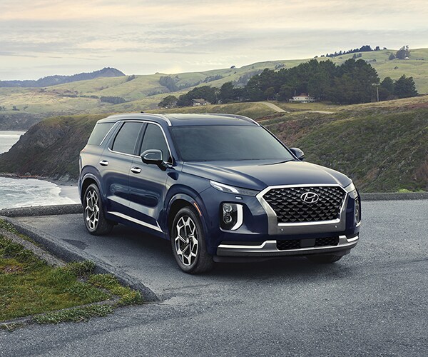 Kia palisade 2022