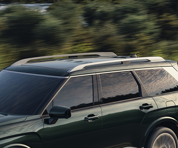 Longerons de toit surélevés de série sur un Palisade 2026