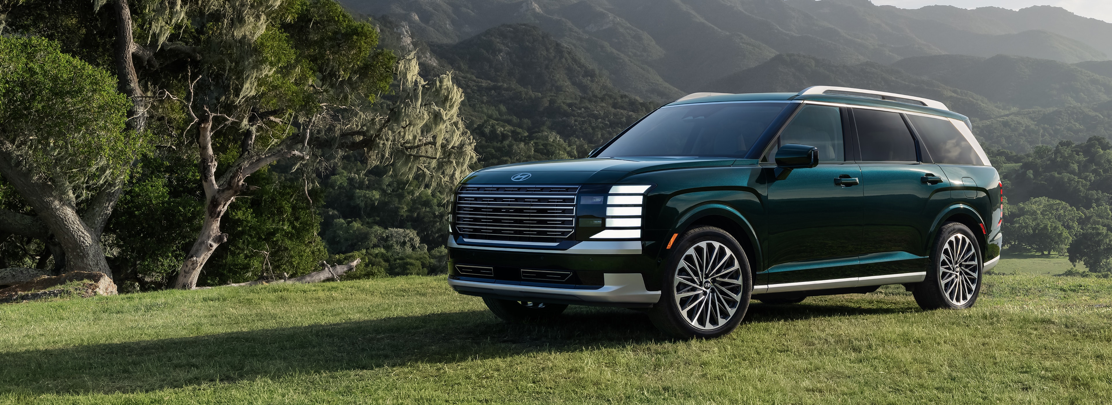 Vue extérieure avant d'un Palisade 2026