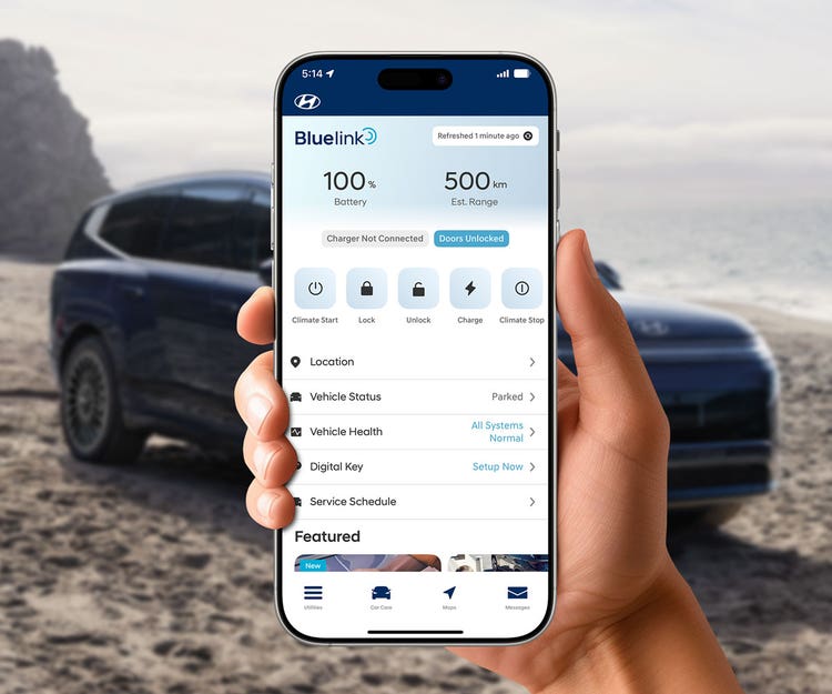 Bluelink Connected Car System